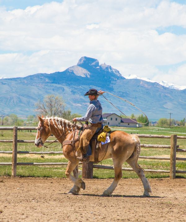 Cody Horse Sale, Downtown Cody Wyoming, Events in Cody