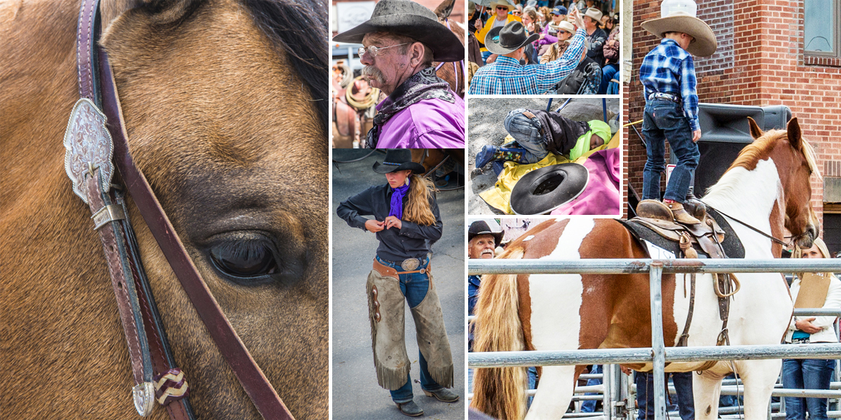 Cody Horse Sale, Downtown Cody Wyoming, Events in Cody