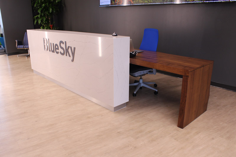 BlueSky Technology Case Study
