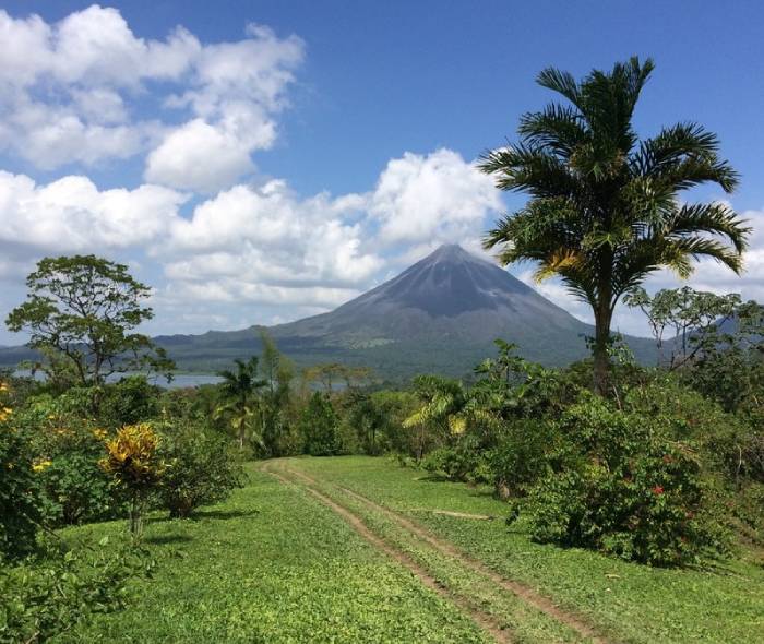 5 Best Costa Rican Coffee Brands in 2024 Top Picks & Reviews Coffee