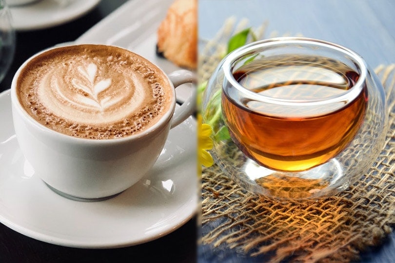Coffee vs. Tea Which Drink Is Healthier? Pros & Cons of Each Option