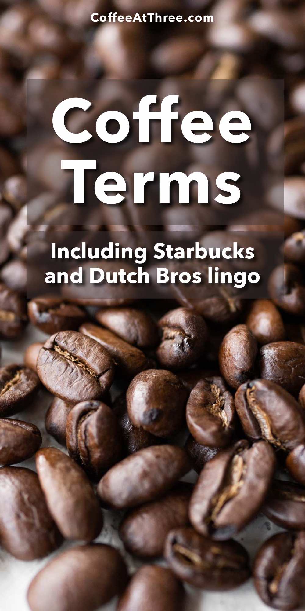 Coffee Terms Glossary Coffee at Three