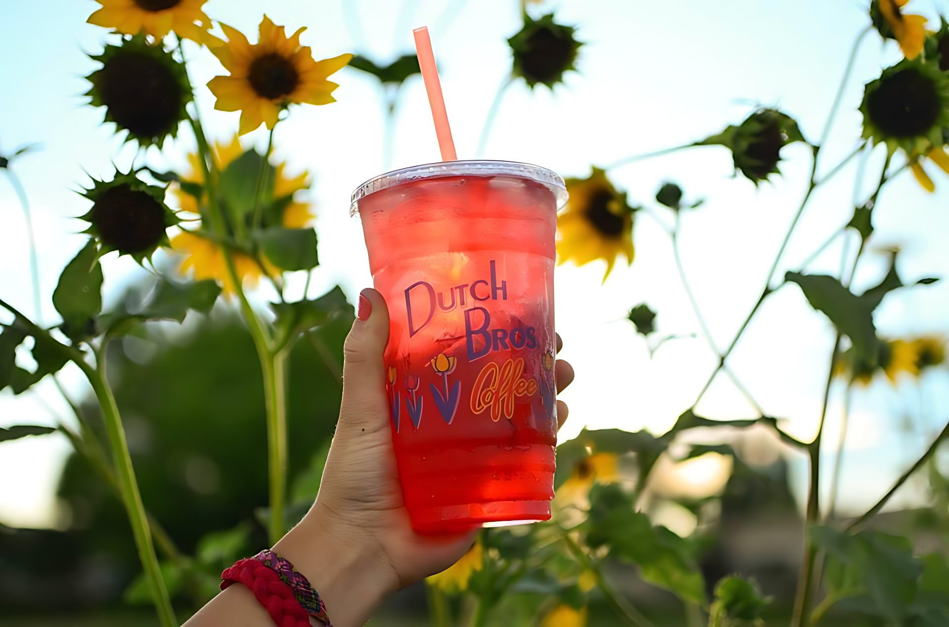 Dutch Bros Electric Berry Caffeine Content A Complete Guide!
