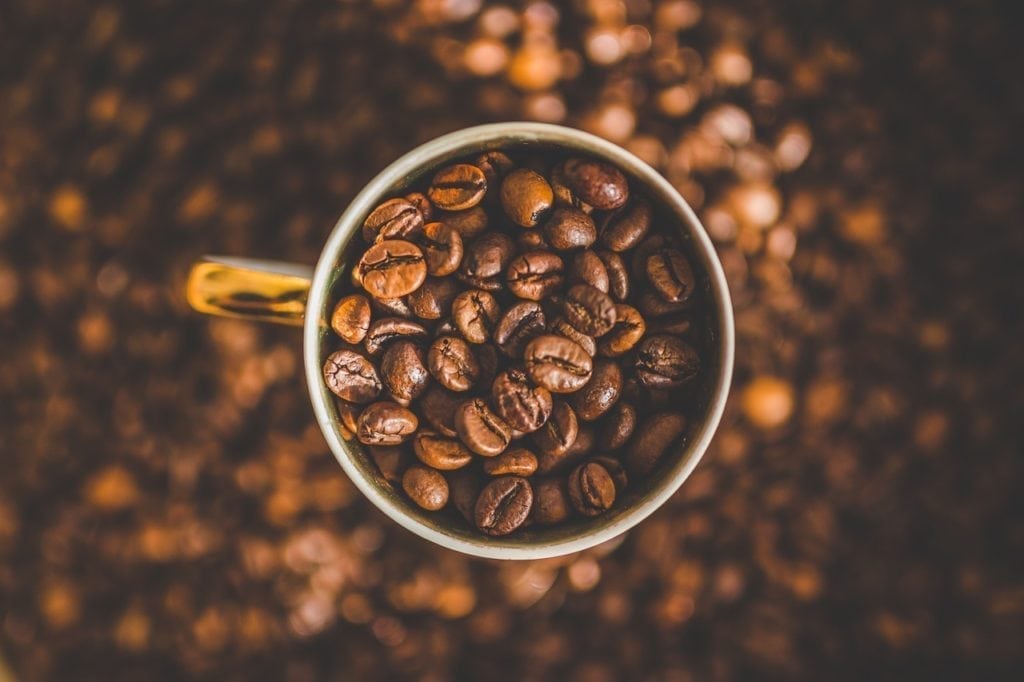 How to Find High Quality Coffee Beans Coffee Brew Guides