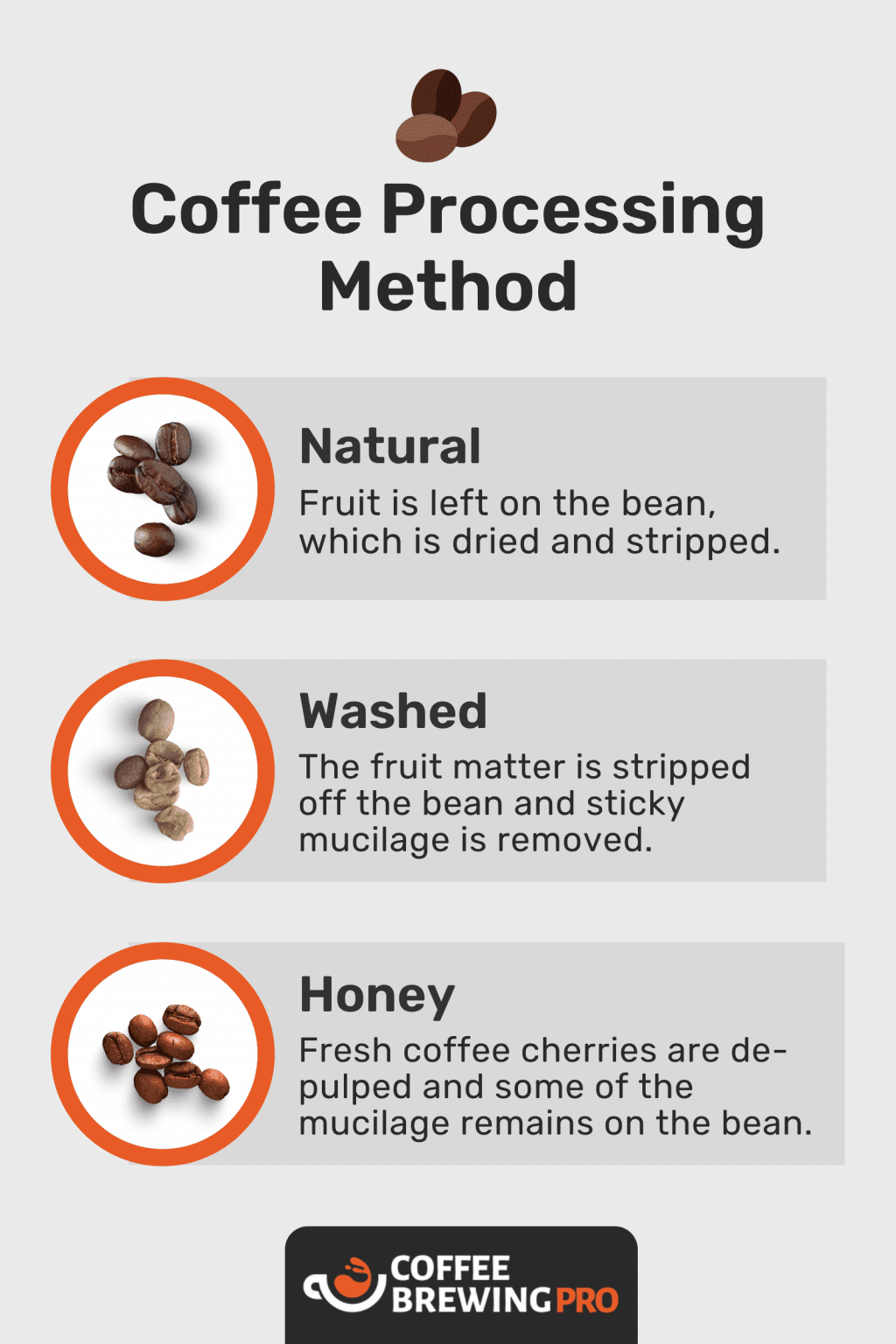 The 10 Best Italian Coffee Beans & Brands [2024 Top Picks]