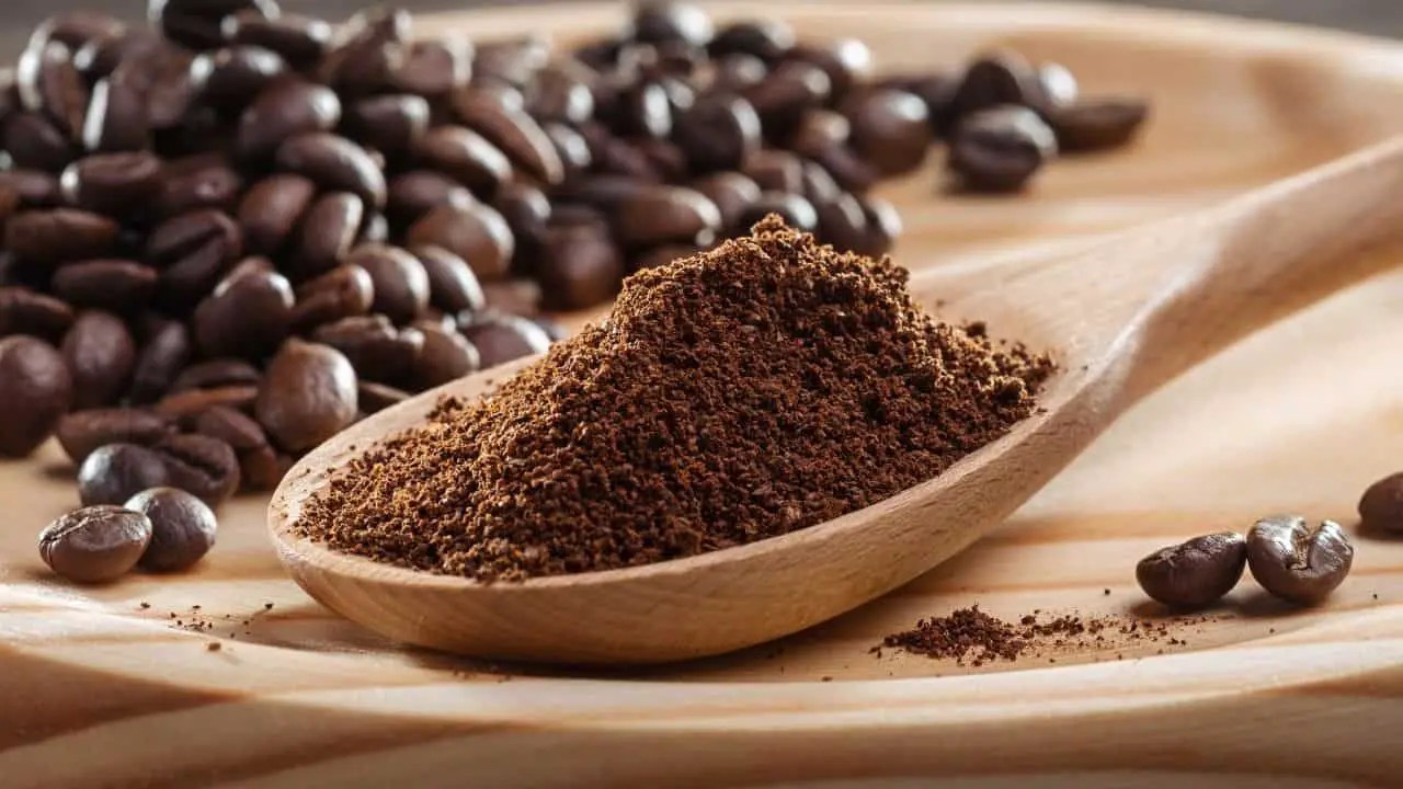 Instant Coffee vs Ground Coffee In Depth Comparison