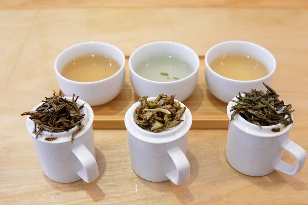 Does White Tea Have Caffeine? Yes! Here's How Much