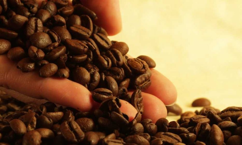 How Many Coffee Beans Equals a Cup of Coffee