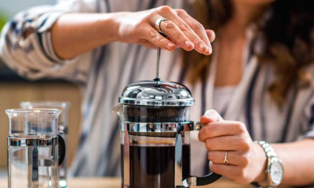 Coffee Gator French Press Review