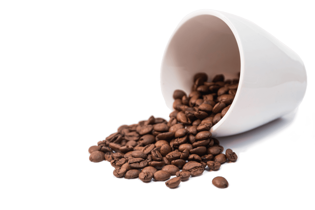Gourmet coffee Coffee IT Vendita caffè all'ingrosso Import export