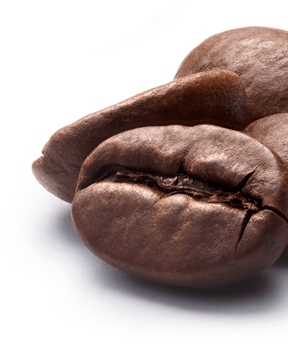 Our Menu Coffee Junkiez