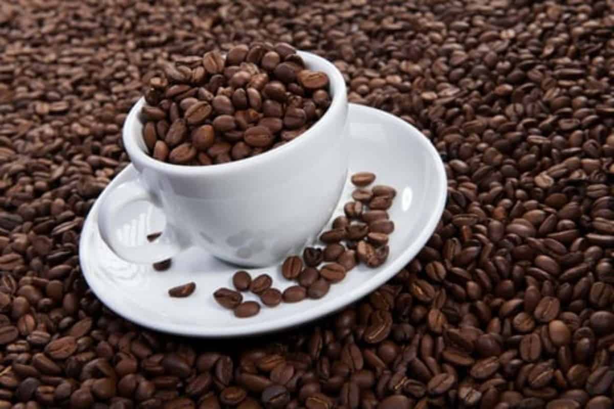Caffeine Headaches (Causes and Remedies) Coffee Levels