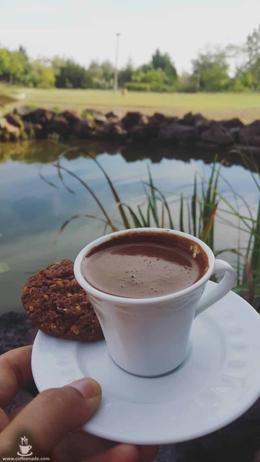 Gallery Best pictures of coffee and nature 3