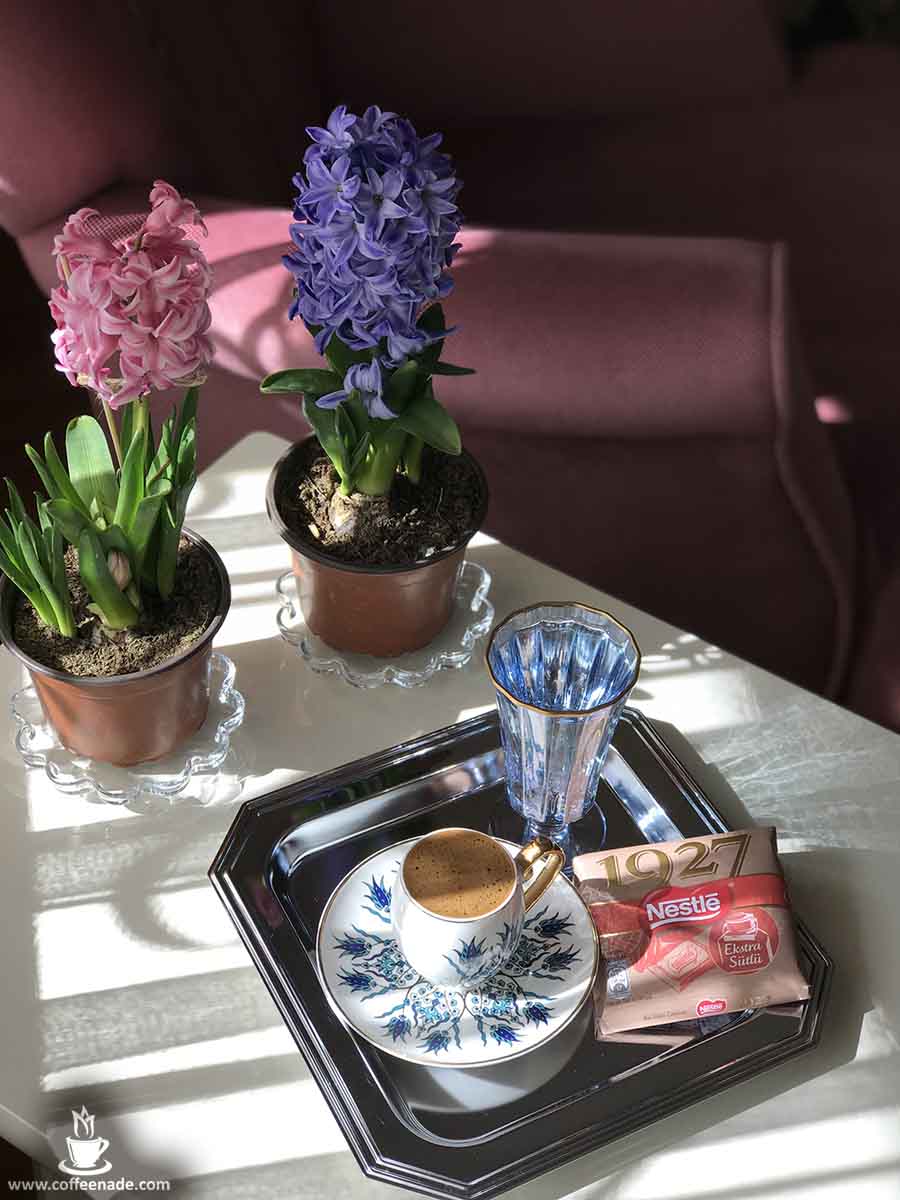 Gallery Best pictures of coffee and flower 4