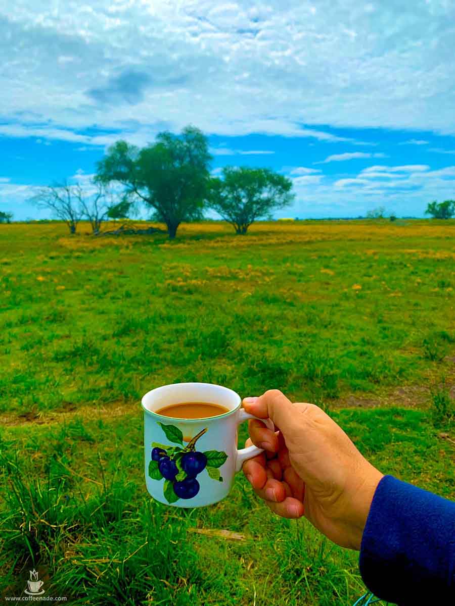 Gallery Best pictures of coffee in nature 1
