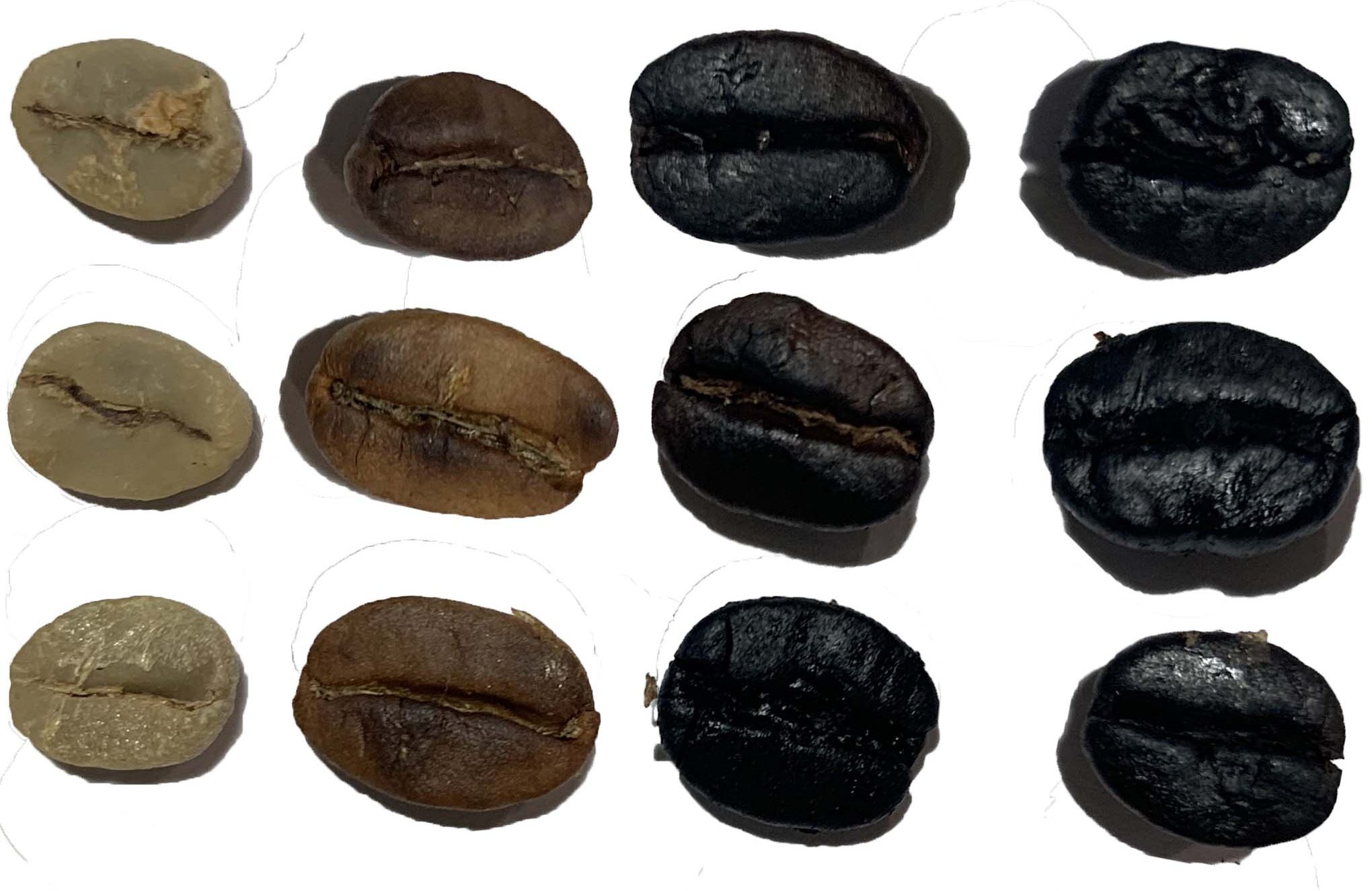 Medium vs. Dark Roast Coffee Exploring the Differences