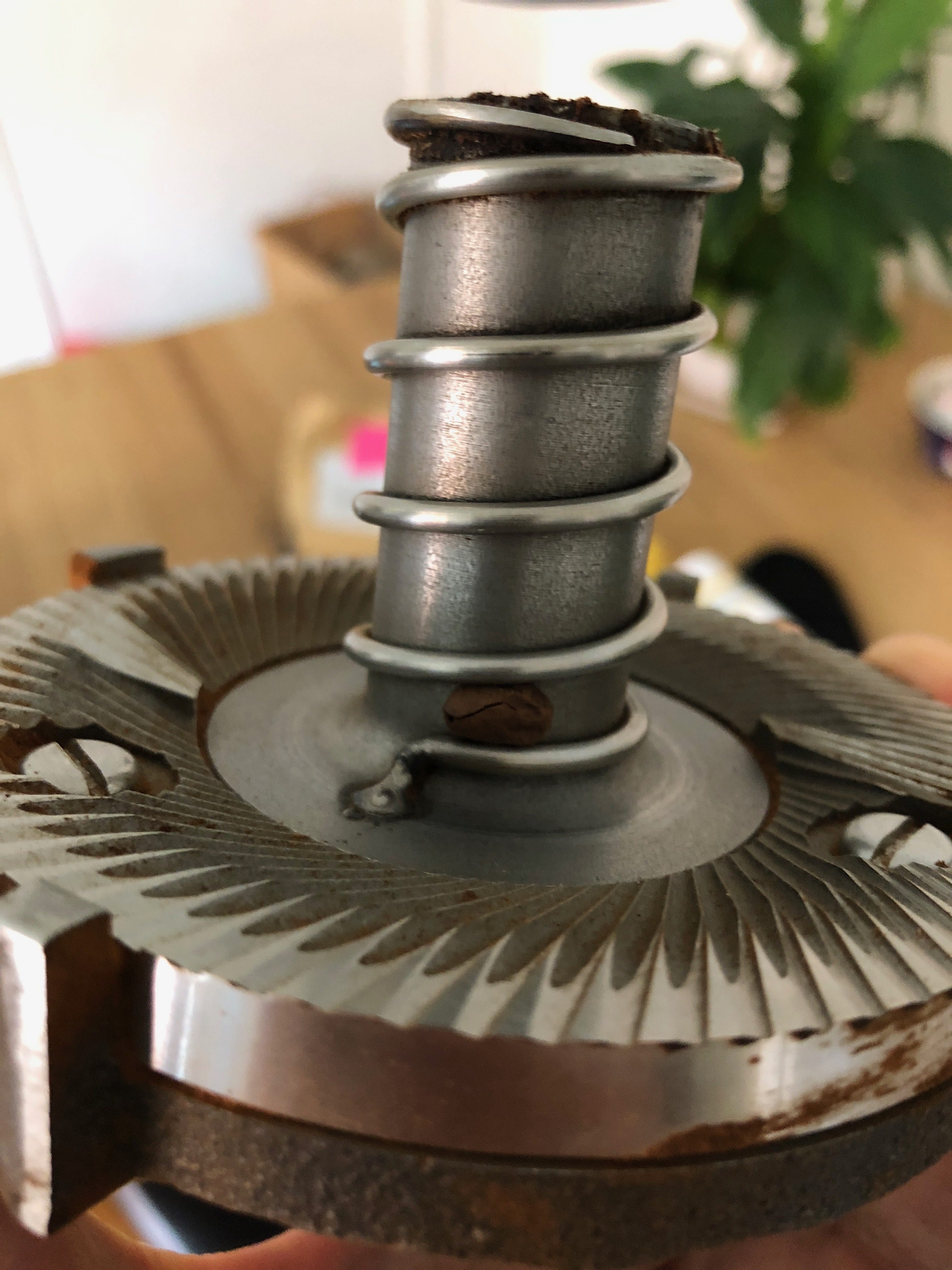 Grinder alignment Coffee Navigated