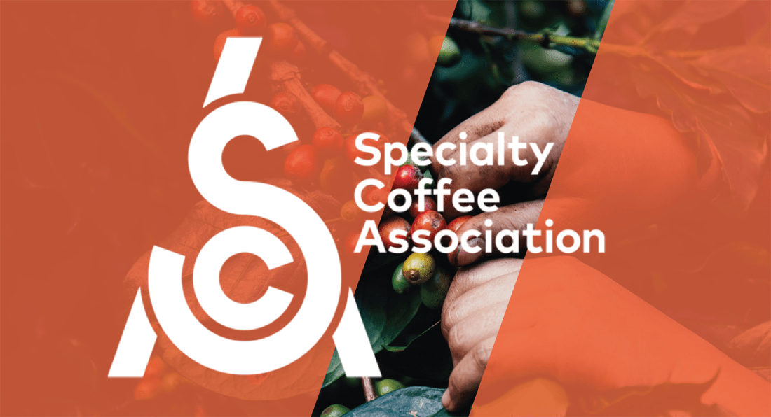 Specialty Coffee Association развивает кофейную индустрию CoffeeNews