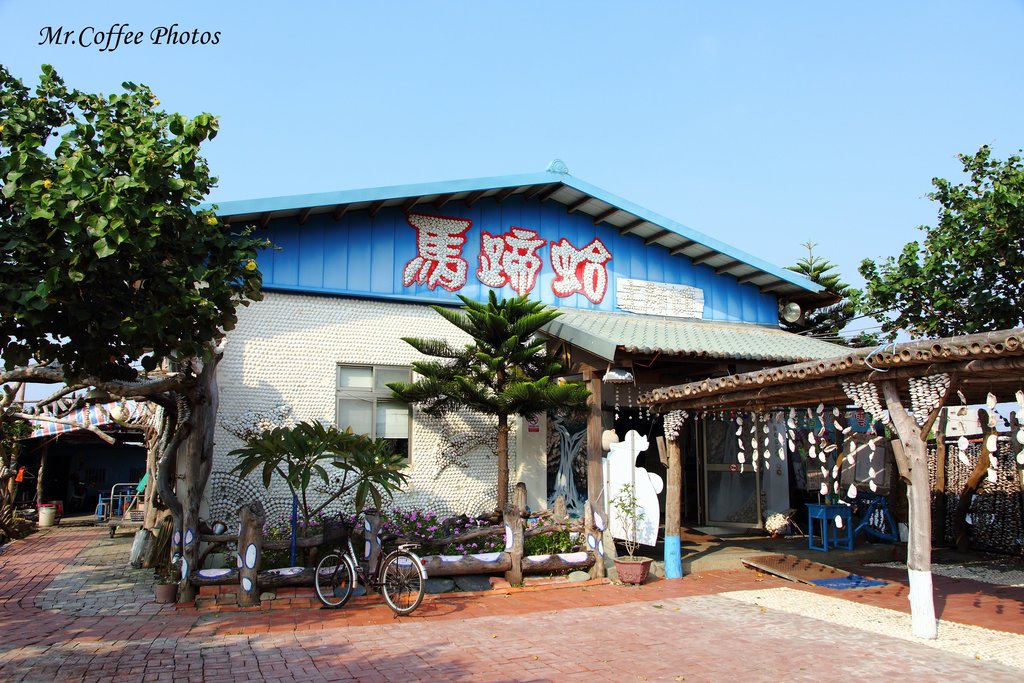 【雲林。口湖】《馬蹄蛤主題館》這比手掌還大的蛤蜊，吃一個就飽了吧！