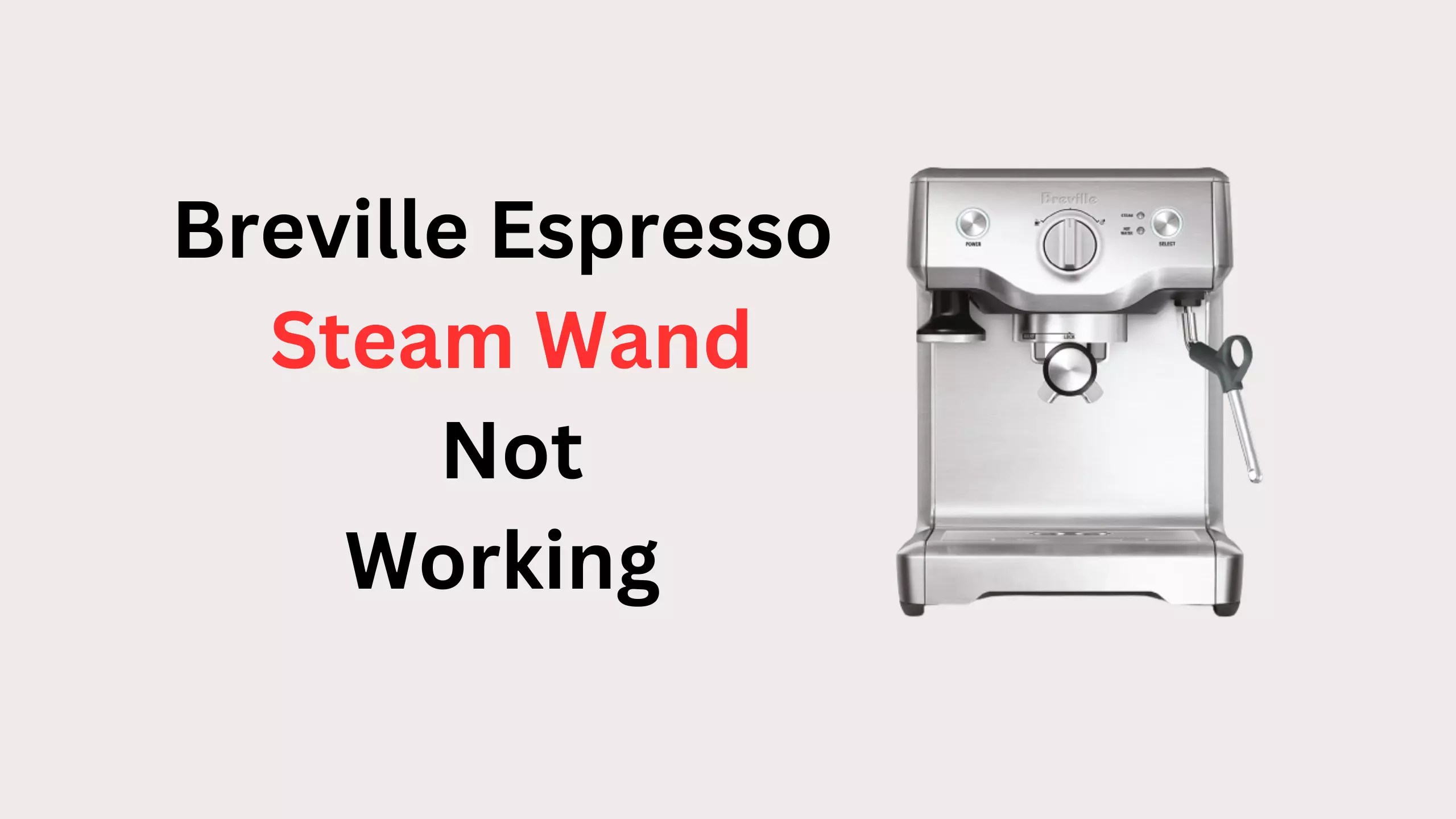 Breville Espresso Steam Wand Not Working How To Fix Your Breville Steam Wand Coffees and Cares