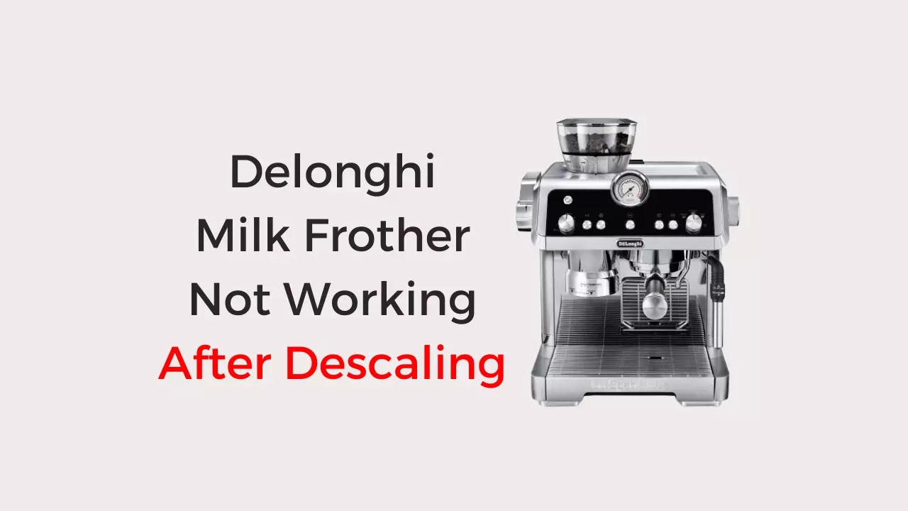Delonghi Milk Frother Not Working After Descaling (Fixed!) Coffees