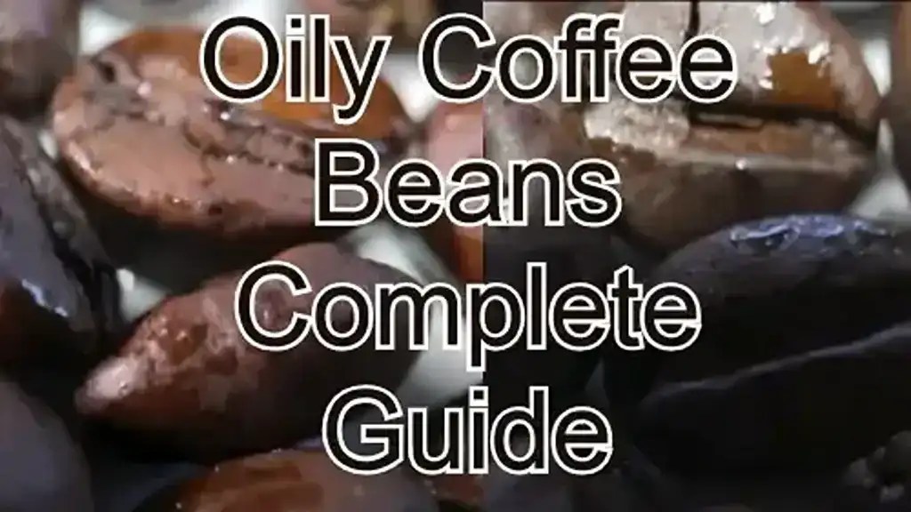 Decoding Oily Coffee Beans Quality Indicator Or Roasting Concern?