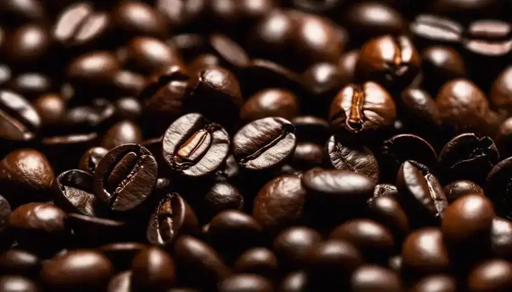 Best Roast for Cold Brew Quick Selection Guide