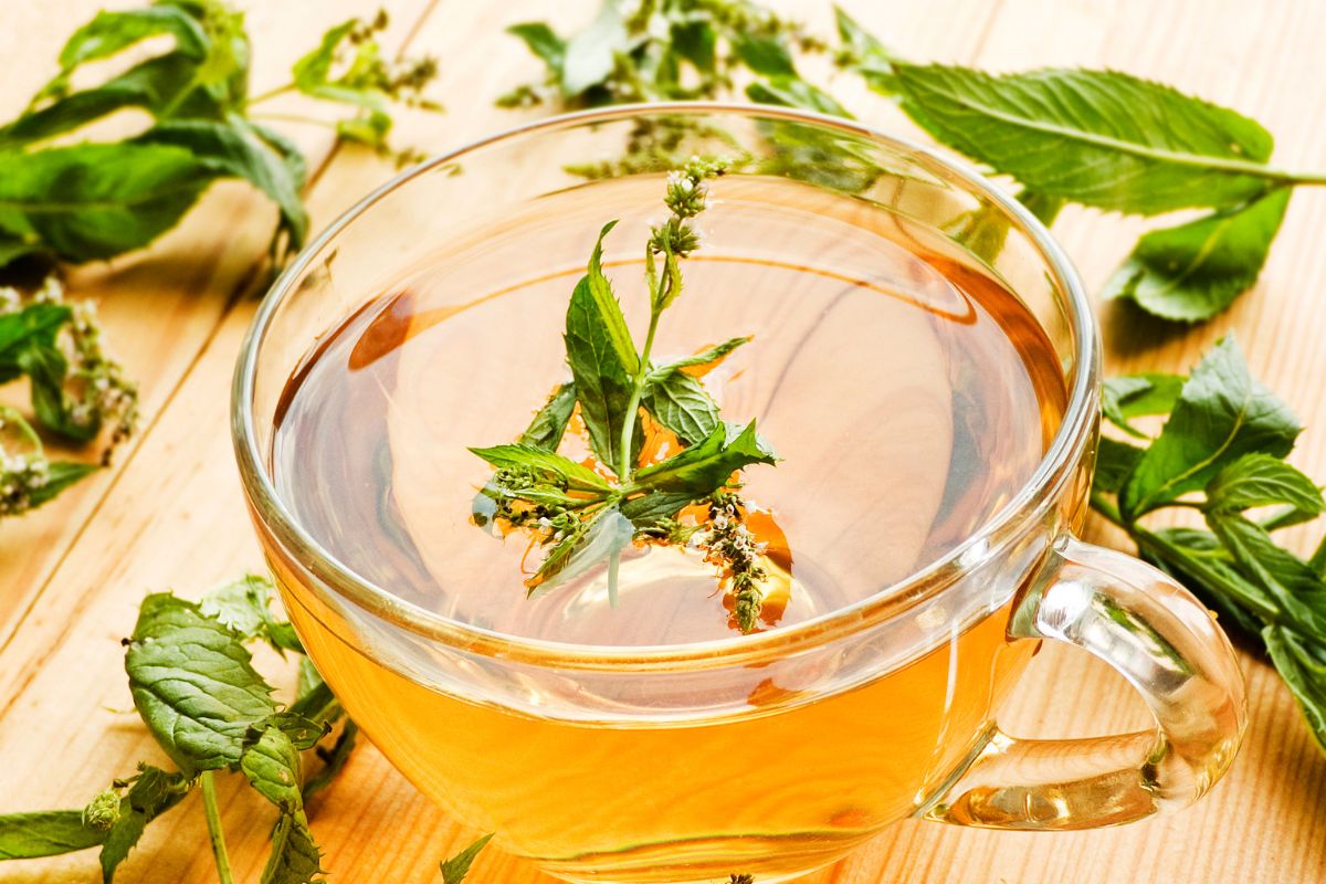 Why Doesn’t Coffee Wake Me Up? The Secret Revealed Coffee Snobs World