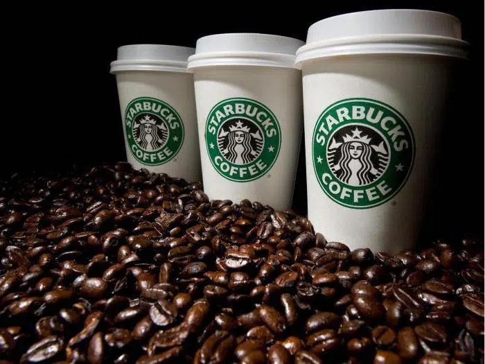Best Types of Coffee Business Ideas for All Millennials