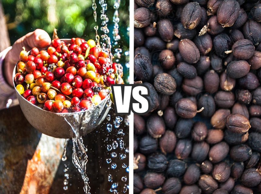 Washed vs. Natural Coffee Which One Tastes Better?