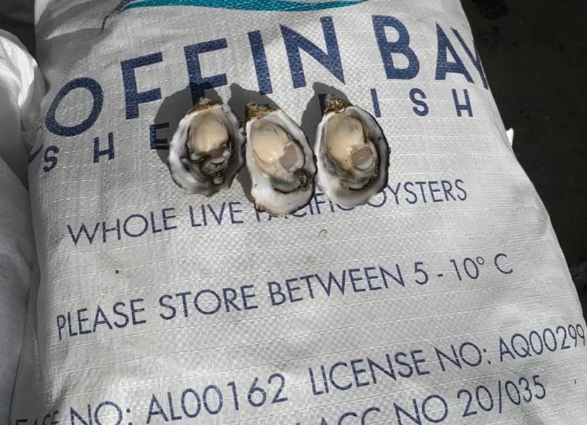 Coffin Bay Oysters Perth/Freo/Mandurah collection 5 Doz Bag Coffin