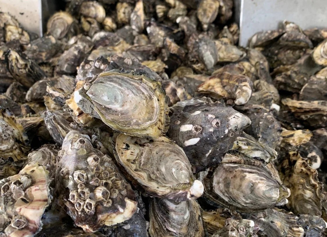 Bag Shop Yeppoon at Michael Knight blog