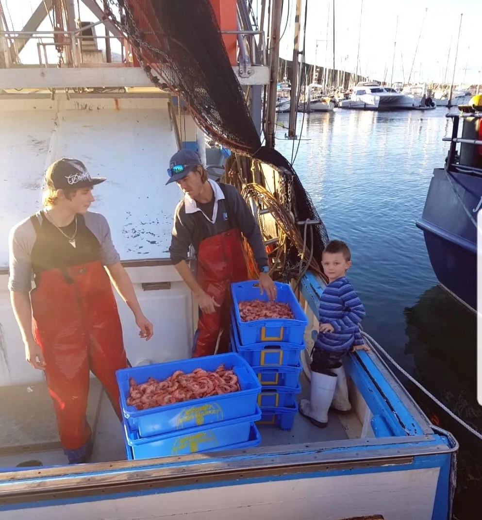 Wholesale Seafood in Coffs Harbour Fishermen’s CoOp