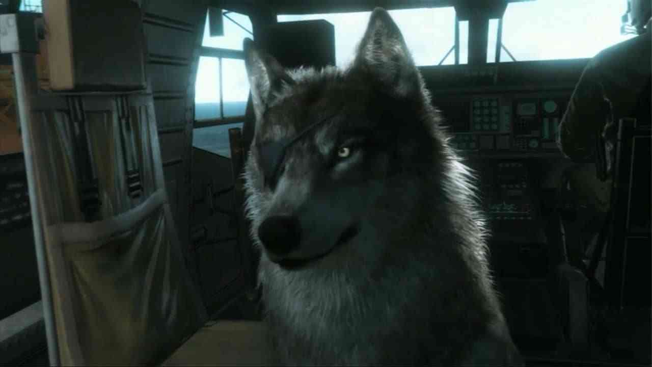 10 Best Video Game Dogs in Honor of National Dog Day (Aug 26)