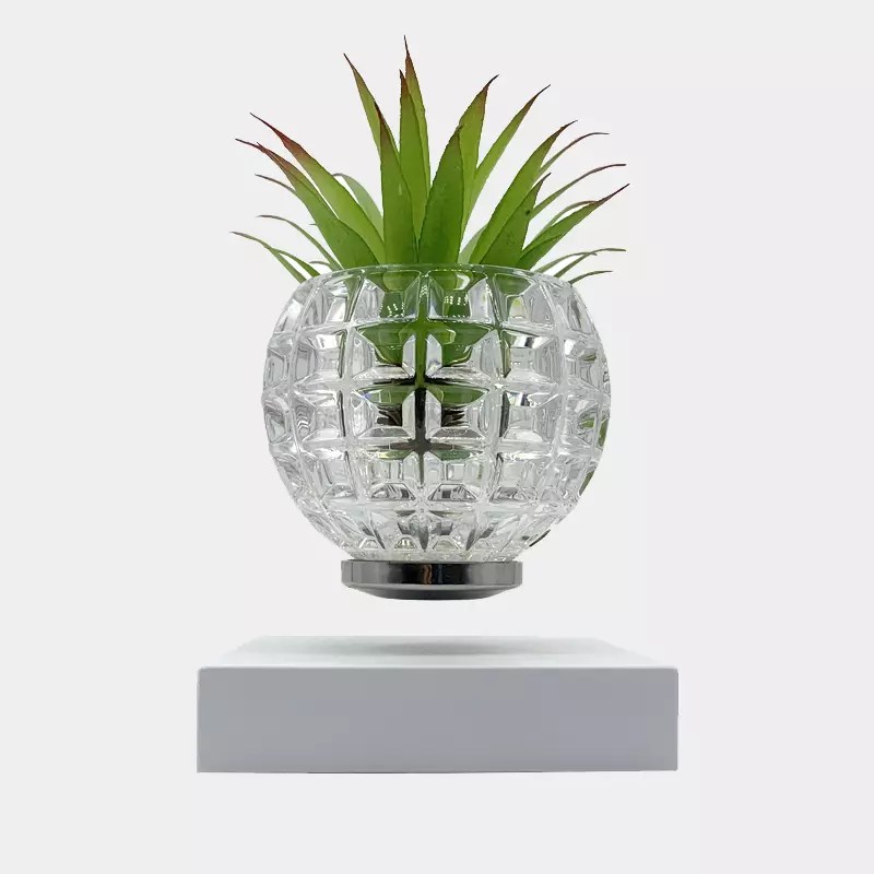 Levitating Plant Pot, COGAB05 Cogidea Levitation
