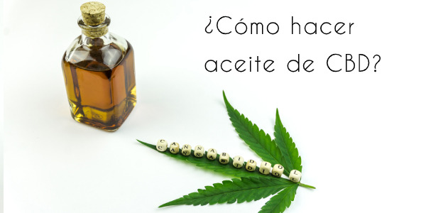 Cómo se hace el aceite de CBD: explicamos el proceso
