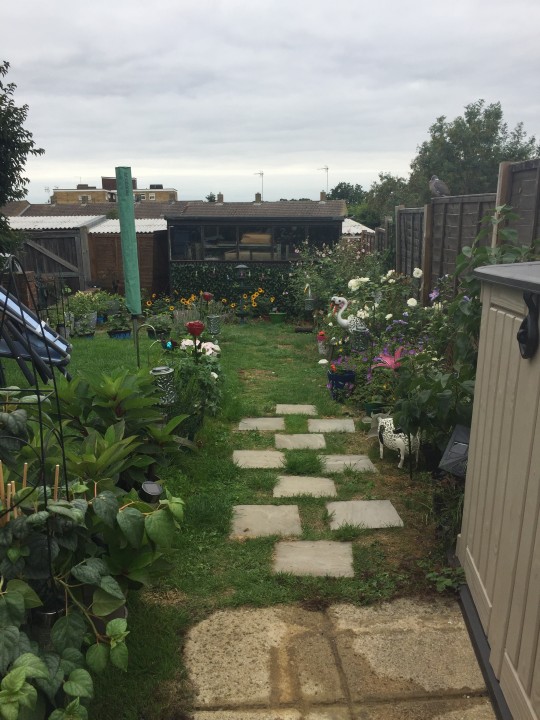 Room for rent in Harlow house share