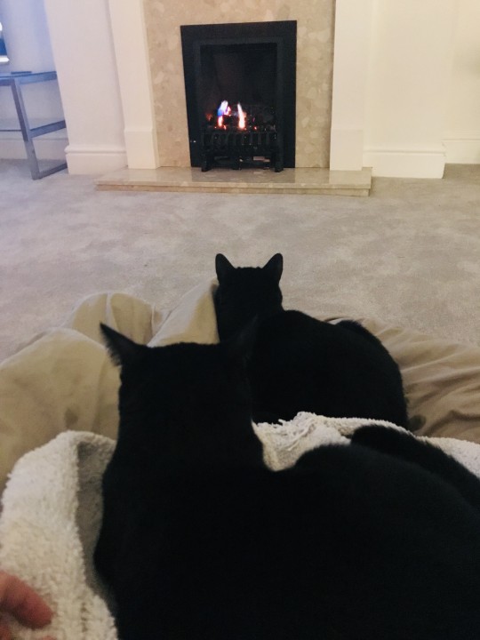 Room for rent in Wallasey house share 8367