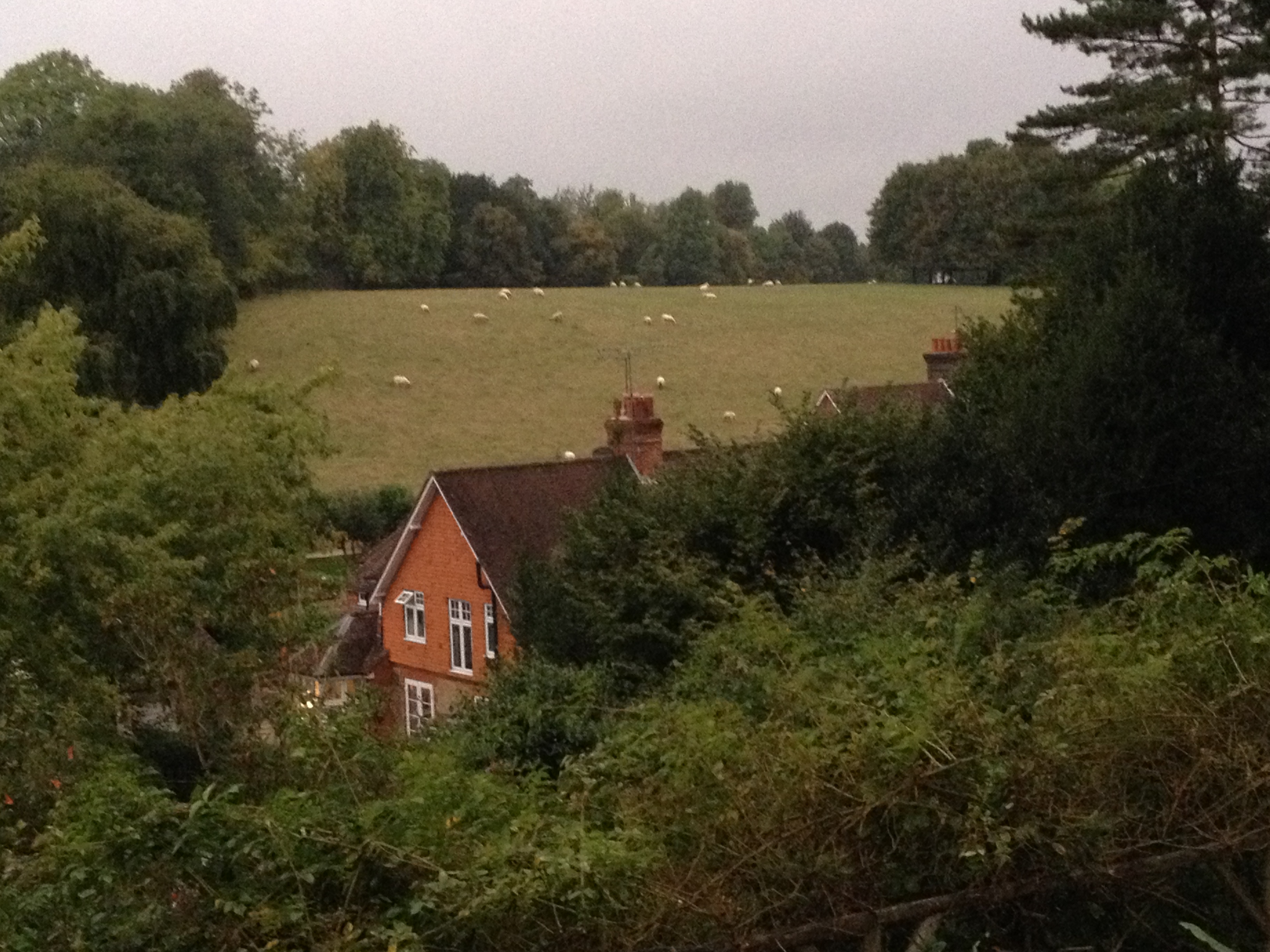 Room for rent in Guildford house share 8451