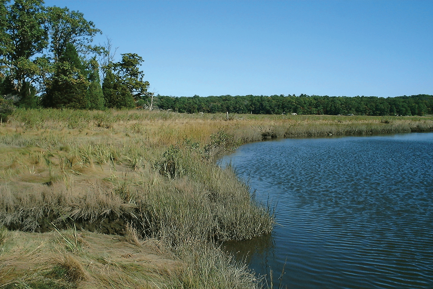 Cohasset Conservation Trust Pegram Preserve