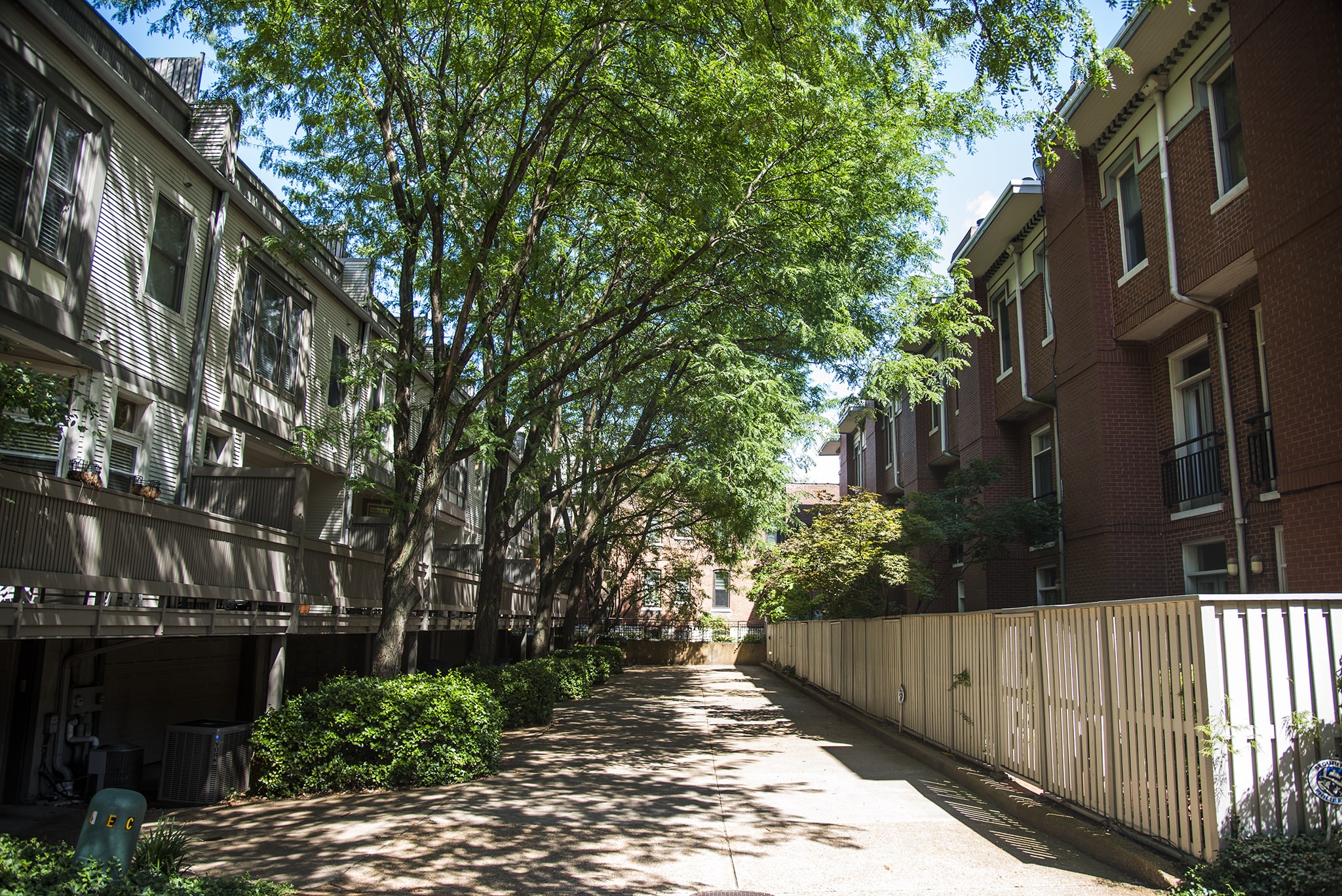 Portland Court Cohen Architecture Company