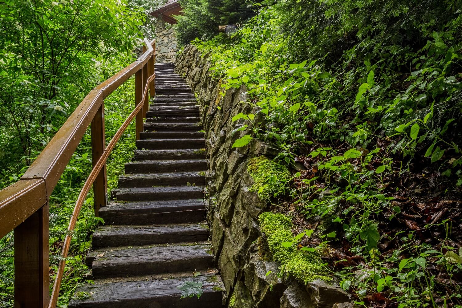 Custom Homes Central Saanich Collaboration Homes