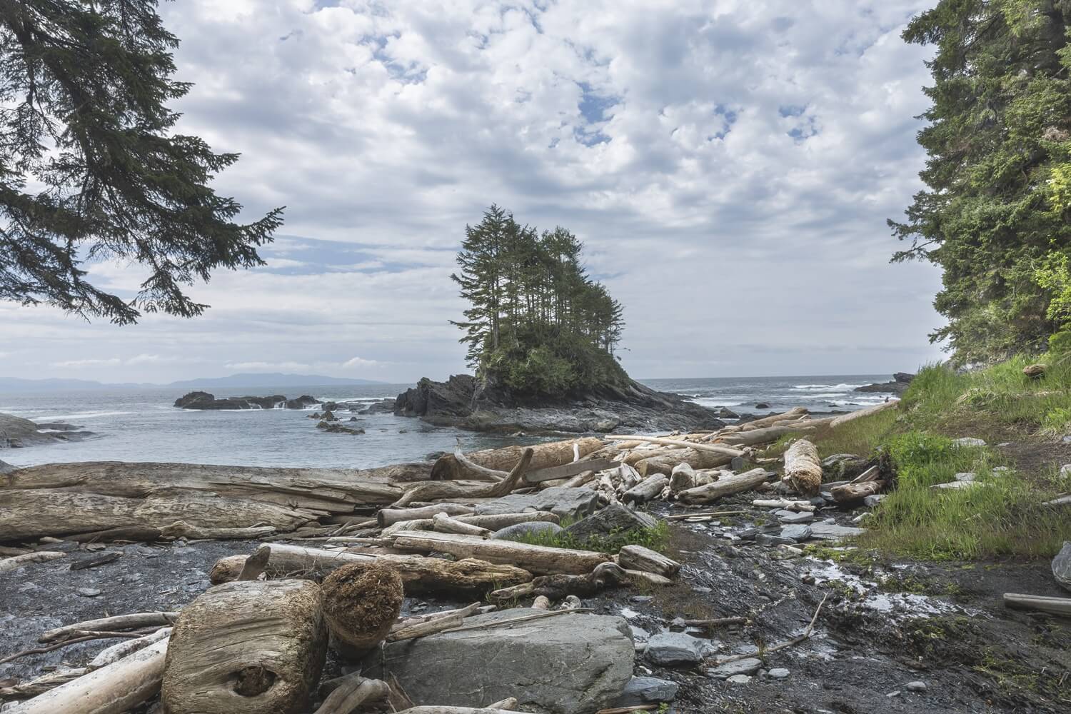 Custom Homes Saanich Collaboration Homes