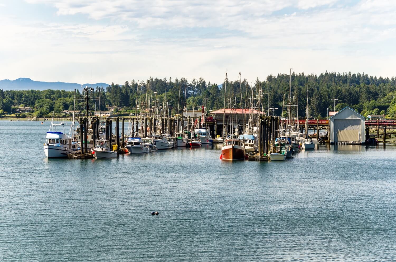 Custom Homes Sooke Collaboration Homes