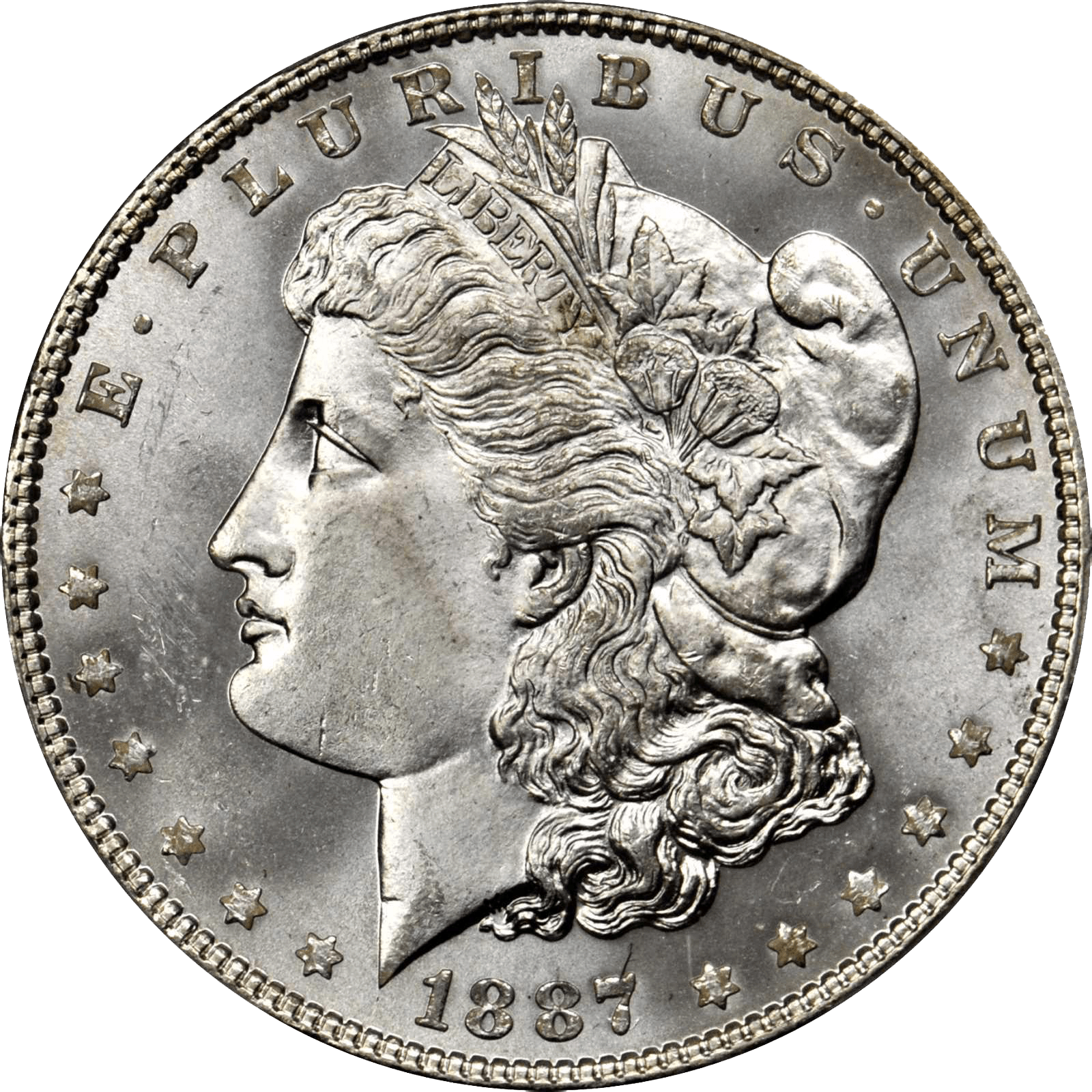 Value of 1887/6 Dollar Rare Silver Dollar Buyers