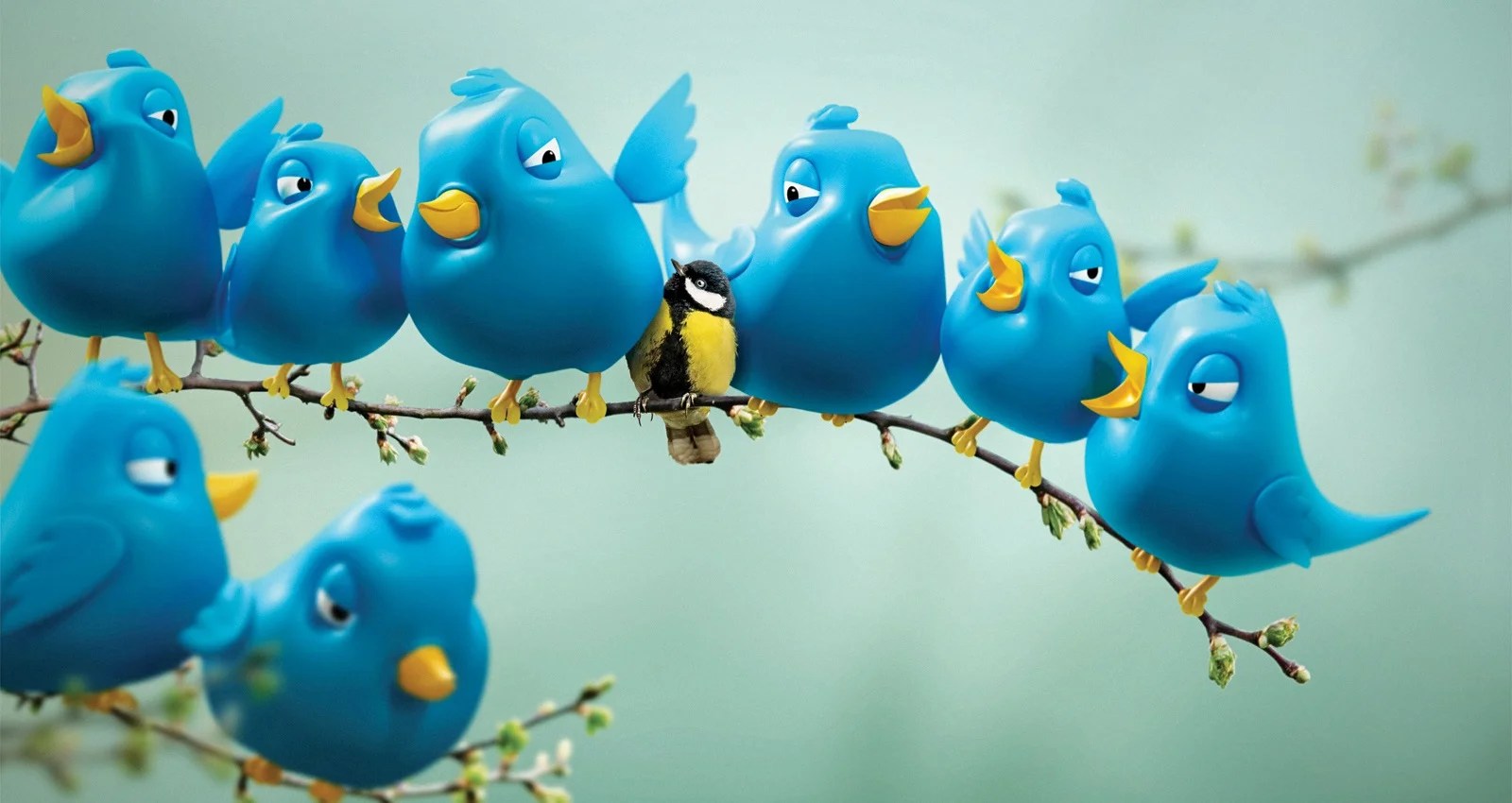 Who is the new Twitter CEO? Uncertainty looms as Elon Musk era beg…