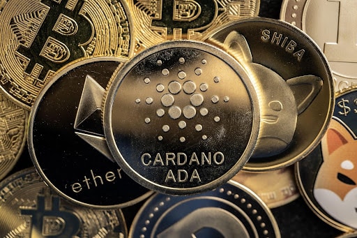 L’activité de Cardano (ADA) augmente alors que les prix de DigiToads (TOADS) augmentent