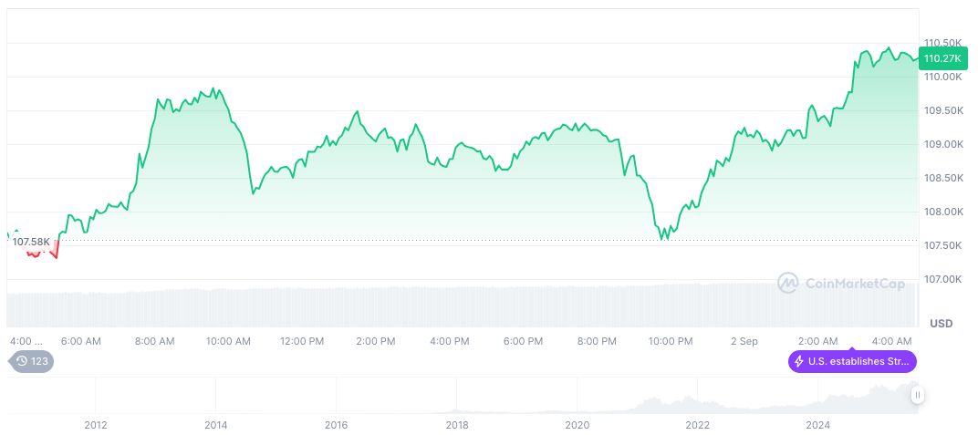 Yellen's Federal Reserve Chair Selection Claims Disputed 2 bitcoin-daily-chart-3125