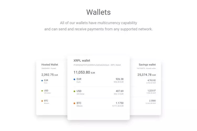 Best XRP Wallet Ways to Securely Store Your Ripple Assets Coindoo
