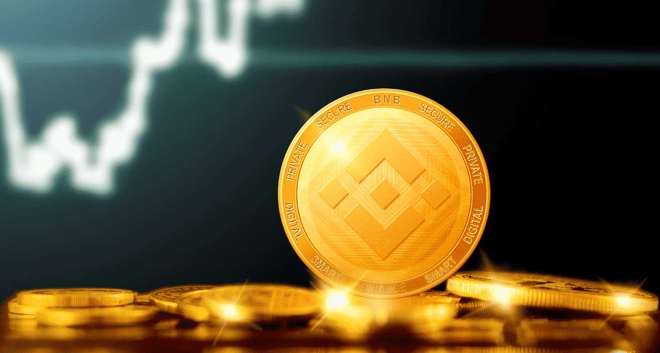 Understanding Binance Coin
